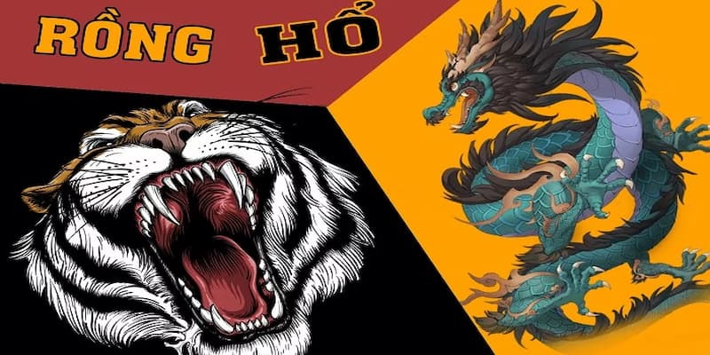 Giới thiệu tổng quan về cách chơi rồng Hổ