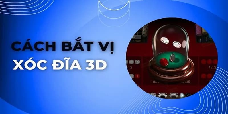 Quản lý vốn khi áp dụng cách bắt vị xóc đĩa