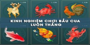 Tìm hiểu cơ bản về bầu cua tôm cá online