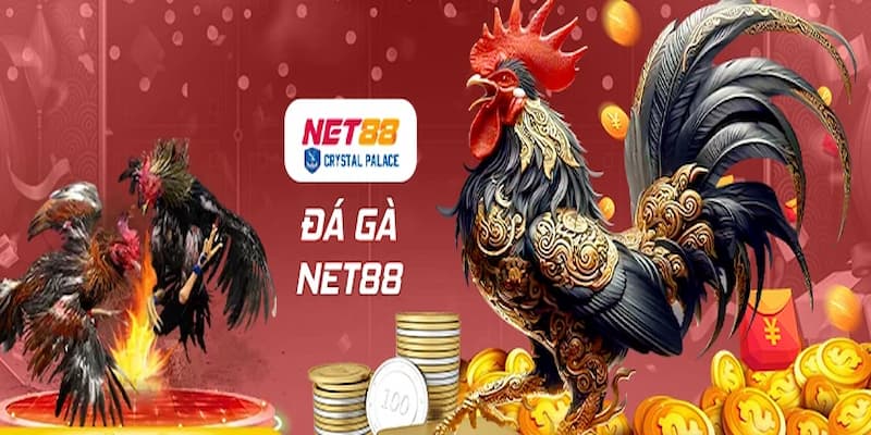 Tổng quan sân chơi đá gà Net88
